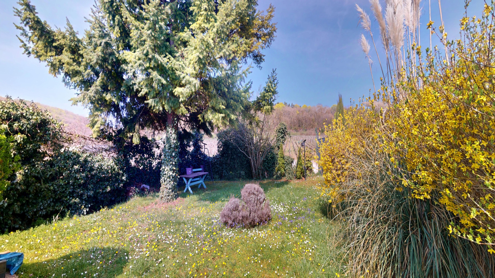 Image_, Maison, Chambolle-Musigny, ref :246