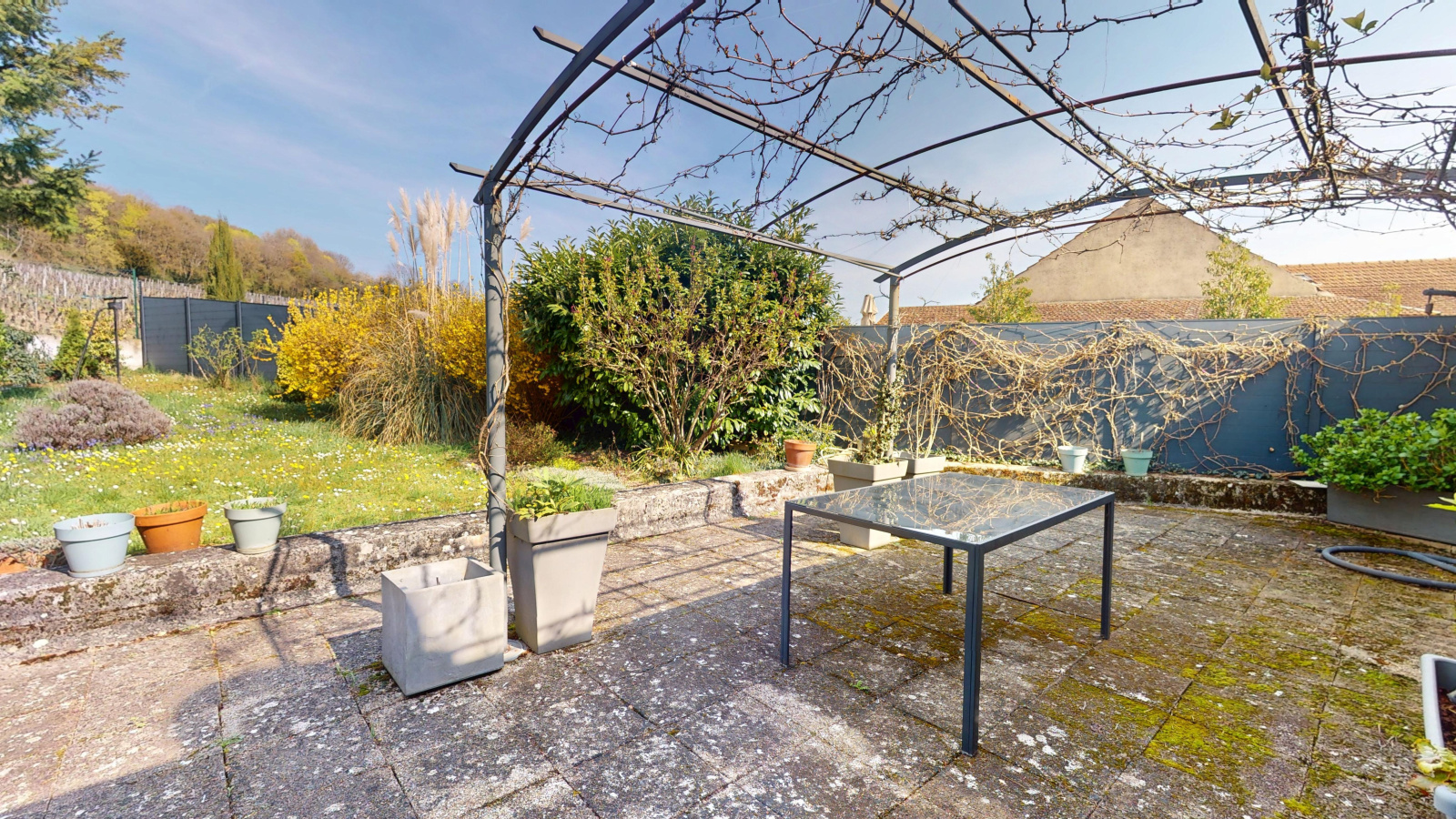 Image_, Maison, Chambolle-Musigny, ref :246